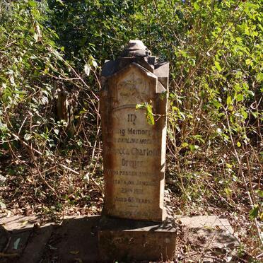 DREYER Rebecca Charlotte -1931