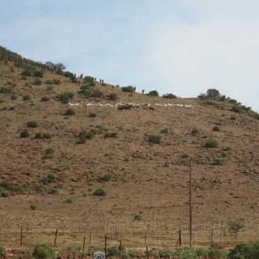 8. Overview / Oorsig