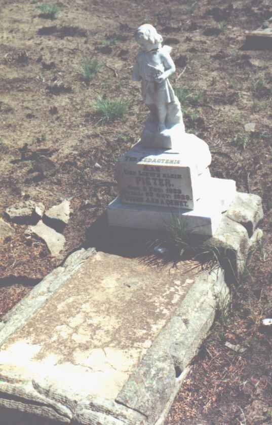 WET Pieter, de 1929-1929