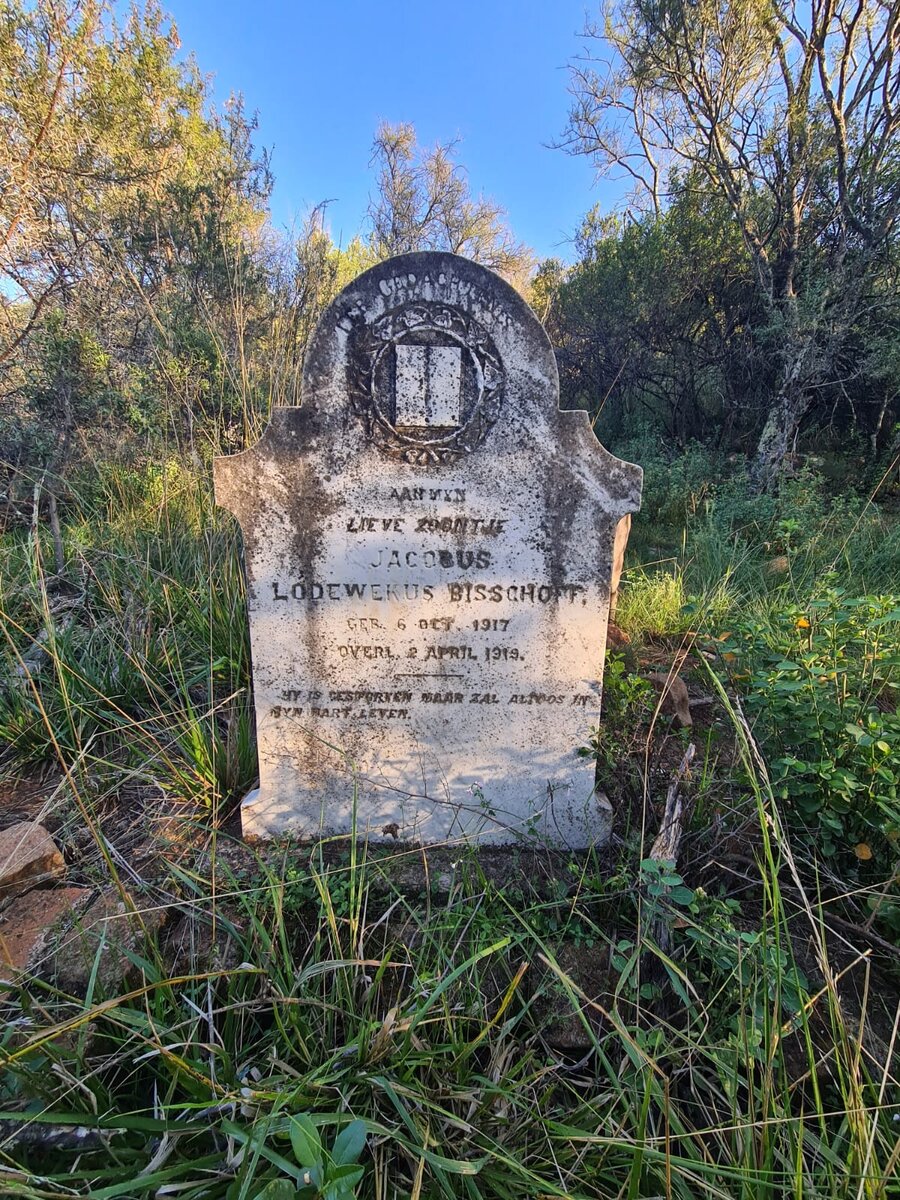 BISSCHOFF Jacobus Lodewekus 1917-1919