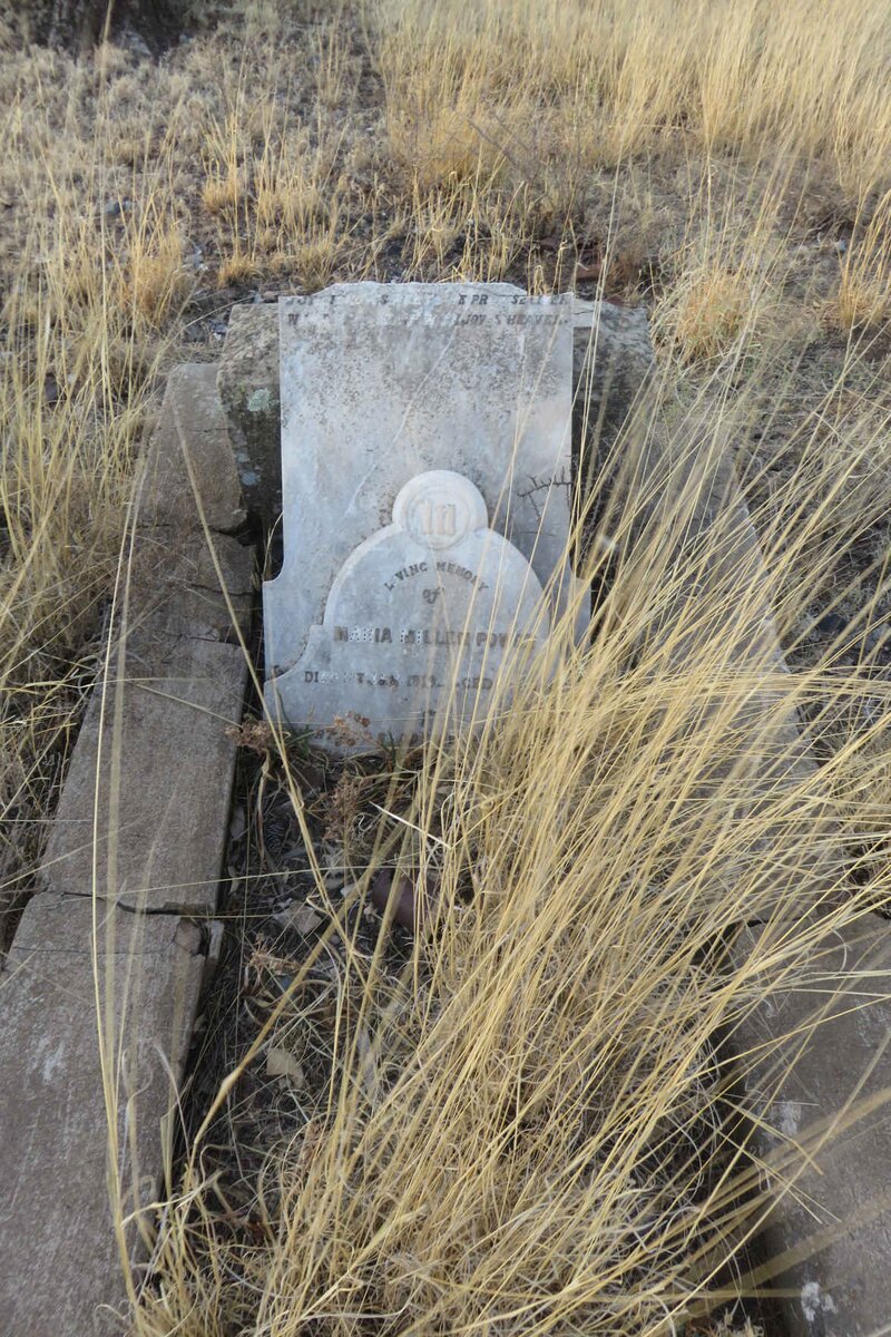 POWER Maria Millen -1919