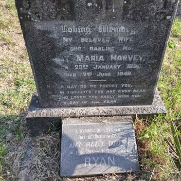 HARVEY Amy Maria 1890-1949 :: RYAN Amy Hazel Doreen 1919-1986
