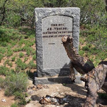 VOSLOO J.E. nee BOTHA 1866-1919