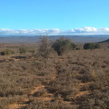 1. Overview / Oorsig