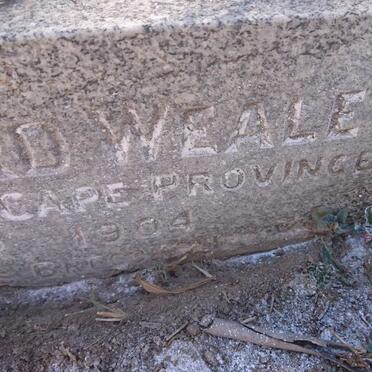 WEALE William Edward -1904