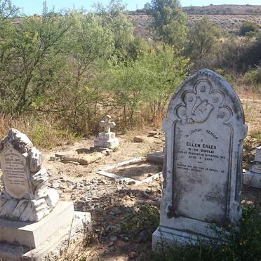 2. Overview / Oorsig