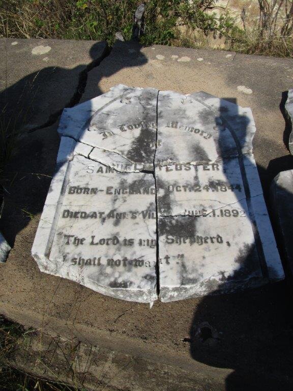 WEBSTER Samuel 1844-1892