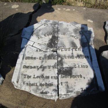 WEBSTER Samuel 1844-1892