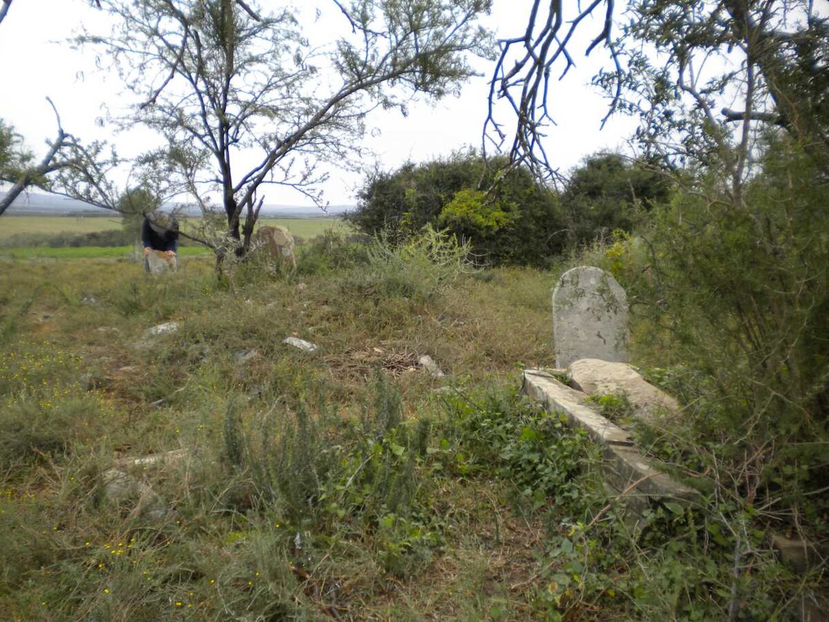 3. Overview / Oorsig