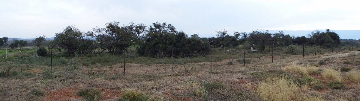 1. Overview / Oorsig