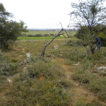 2. Overview / Oorsig