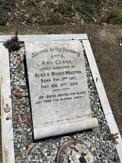 WEBSTER Amy Clara 1917-1934