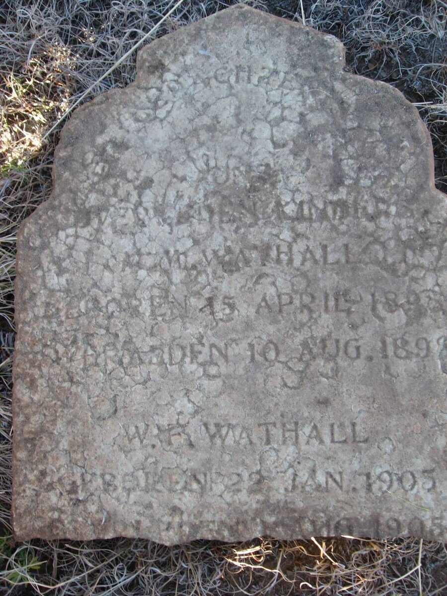 WATHALL ? 1898-1898 :: WATHALL W.? 1905-1905