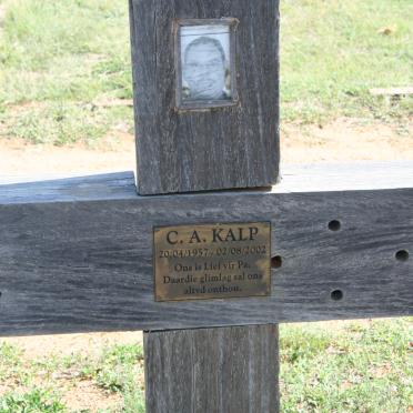 K - Surnames :: Vanne - K