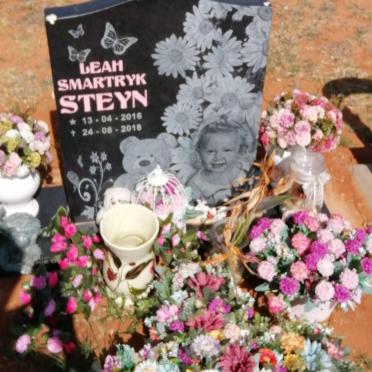 STEYN Leah Smartryk 2016-2018