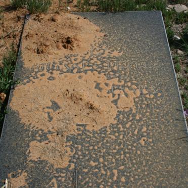 ? Johannes Petrus -1997 &amp; ? Susara