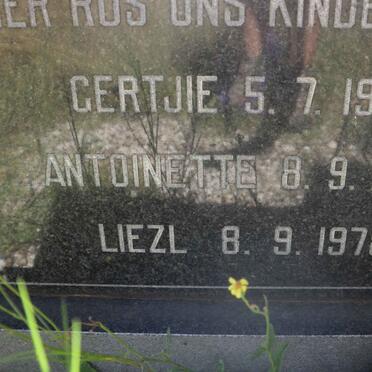 LAMBRECHTS Gertjie -1969 :: LAMBRECHTS Antoinette -1978 :: LAMBRECHTS Liezl -1978