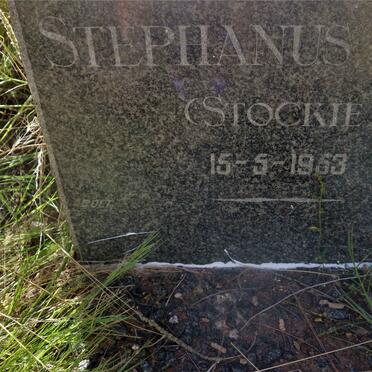STOCKIGT Stephanus Buys -1953