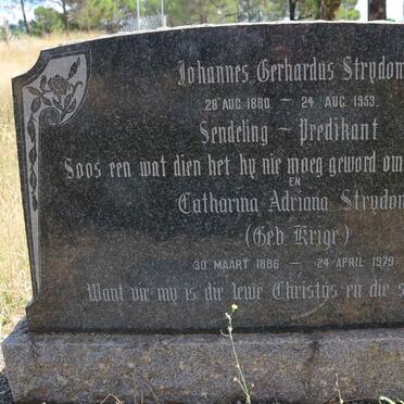 STRYDOM Johannes Gerhardus 1880-1953 &amp; Catharina Adriana KRIGE 1886-1979
