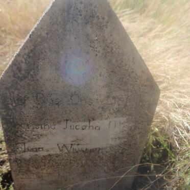 WIESNER Fransina Jacoba Magdalena 1950-19??