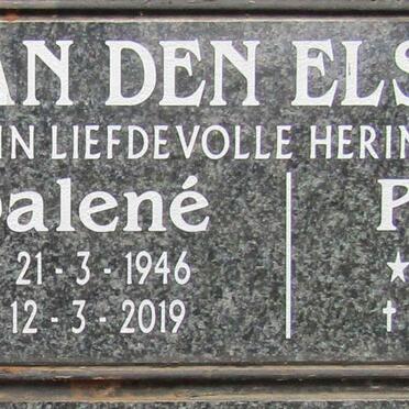 ELSHOUT Dalené, van den 1946-2019 :: VAN DEN ELSHOUT Pierre 1973-2016