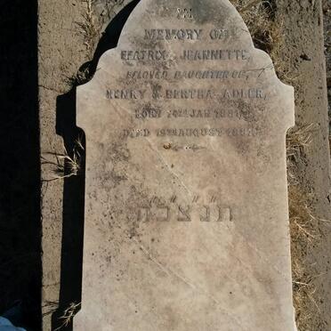 A - Surnames :: Vanne - A