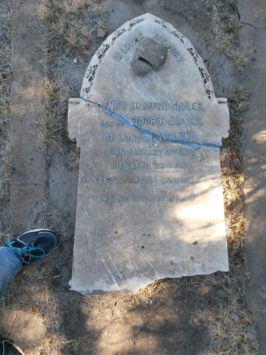 ADLER Henry Edmund 1870-1891