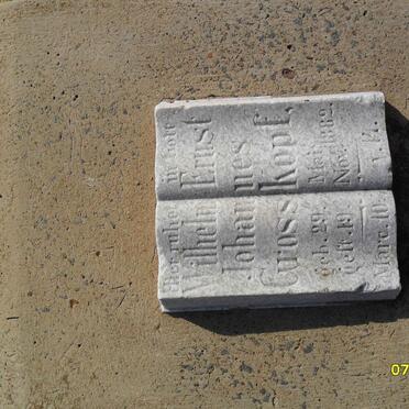 GROSSKOPF Wilhelm Ernst Johannes 1882-1882