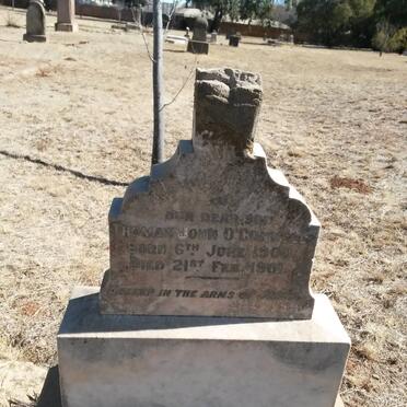 O - Surnames :: Vanne - O