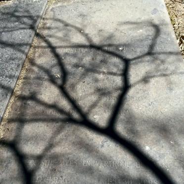 SWART Cornelia Wilhelmina nee DE KLERK 1903-1986