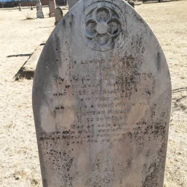 SCATES Gardener -1877