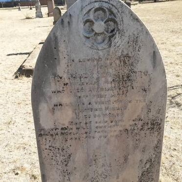 SCATES Gardener -1877