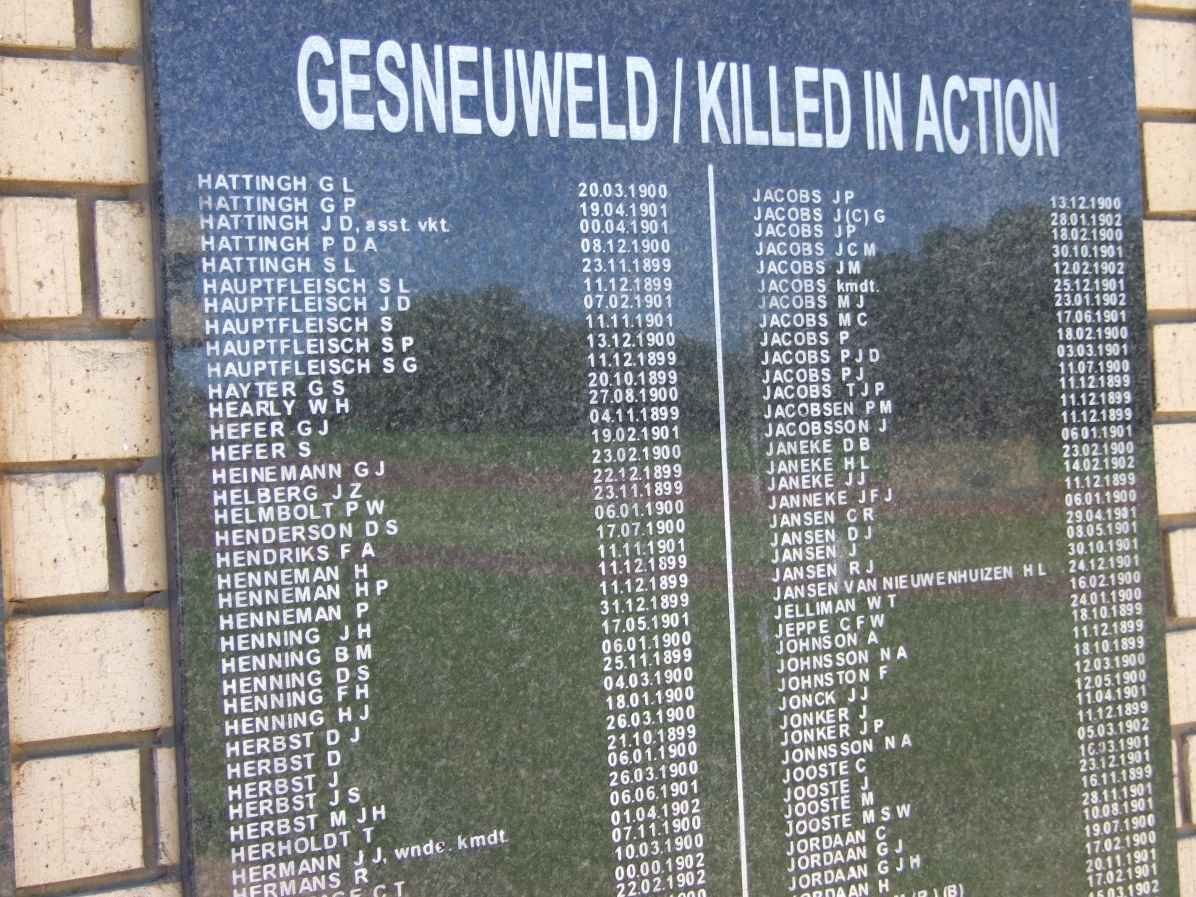 Killed in Action Panel_6a