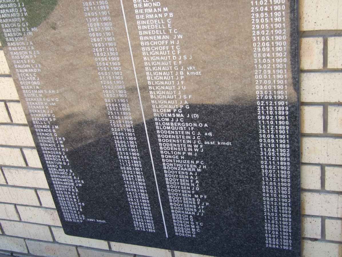 Killed in Action Panel_1c