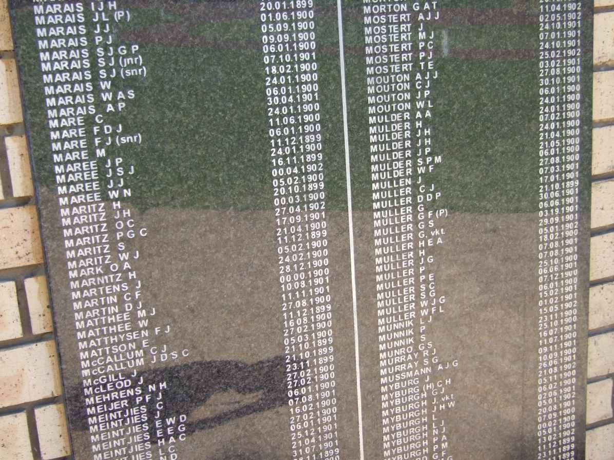 Killed in Action Panel_8b