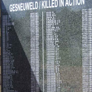 Killed in Action Panel_9a