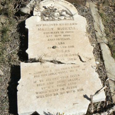 BICKELL Harry -1904 :: BICKELL Douglas -1903