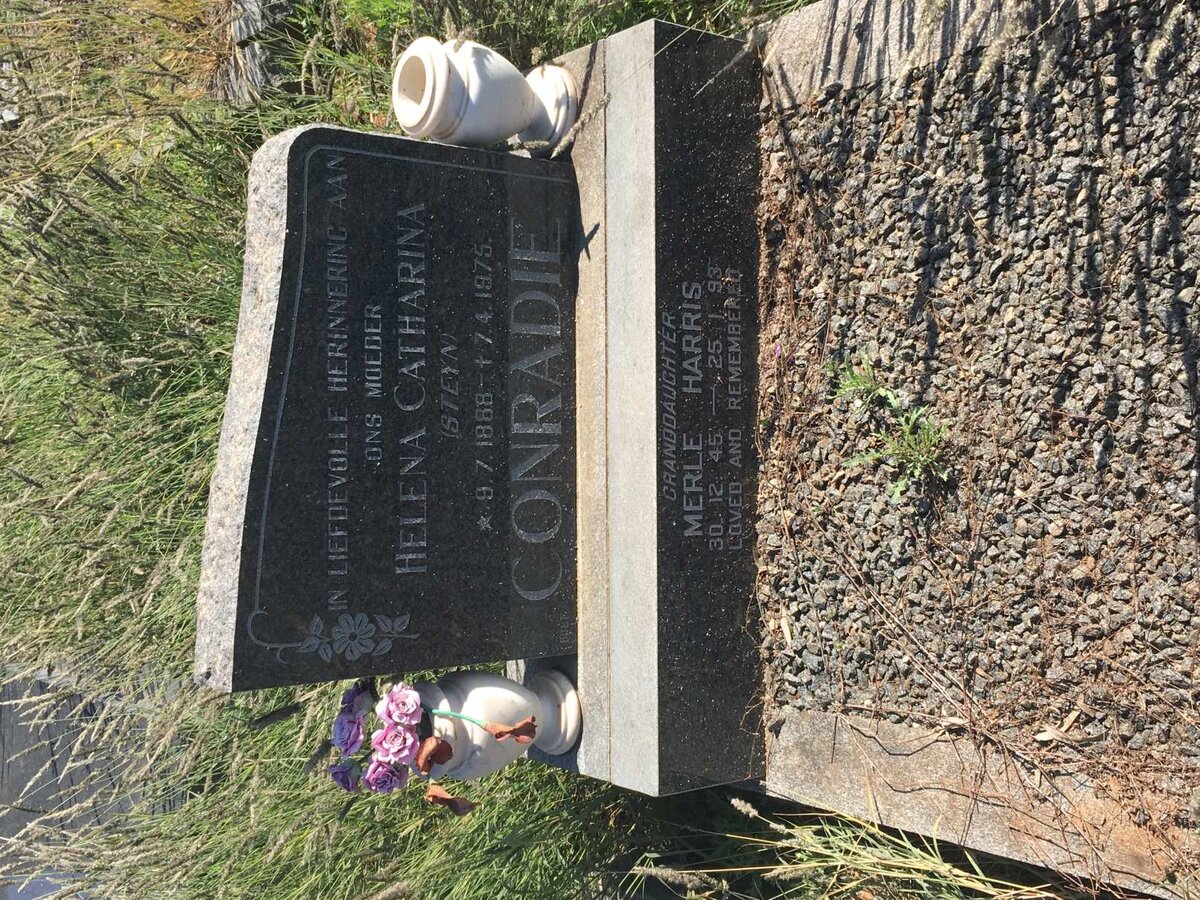 CONRADIE Helena Catharina nee STEYN 1888-1975 :: HARRIS Merle 1945-1993