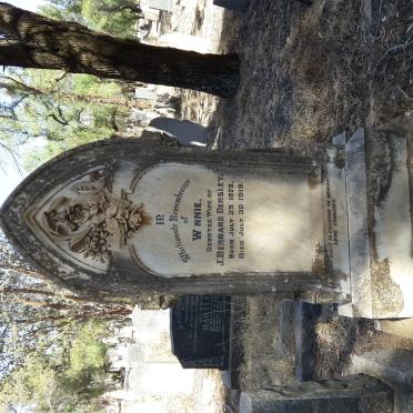 DERSLEY Winnie 1878-1919