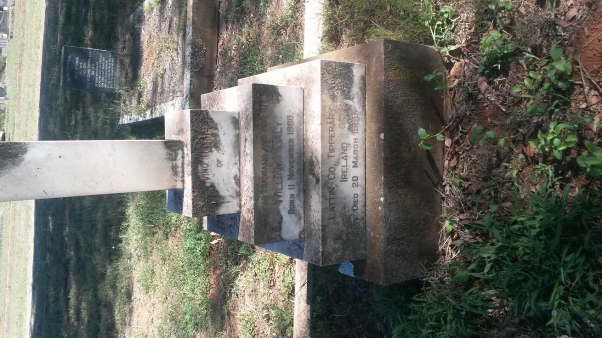 DALY William 1880-1939