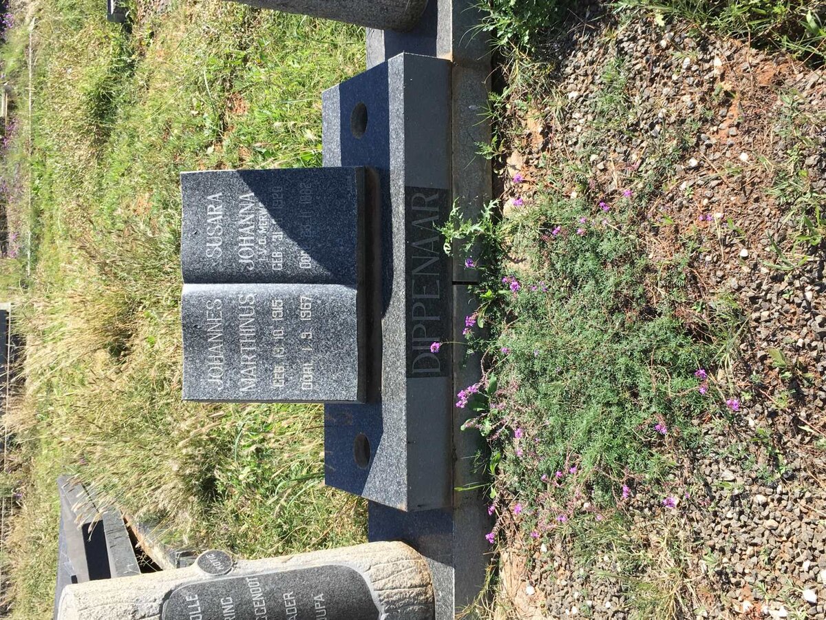 DIPPENAAR Johannes Marthinus 1915-1967 &amp; Susara Johanna v.d. MERWE 1920-1982