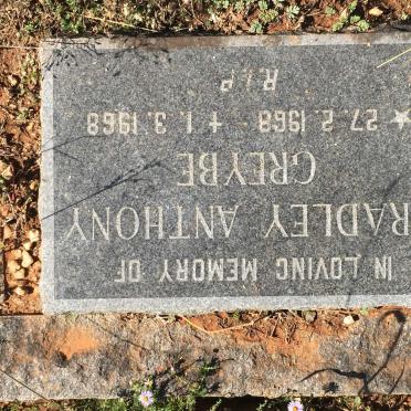 GREYBE Bradley Anthony 1968-1968