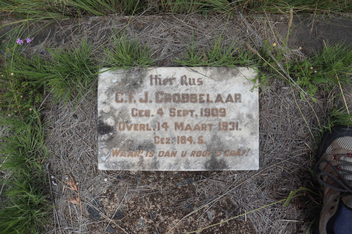 GROBBELAAR C.F.J. 1909-1931
