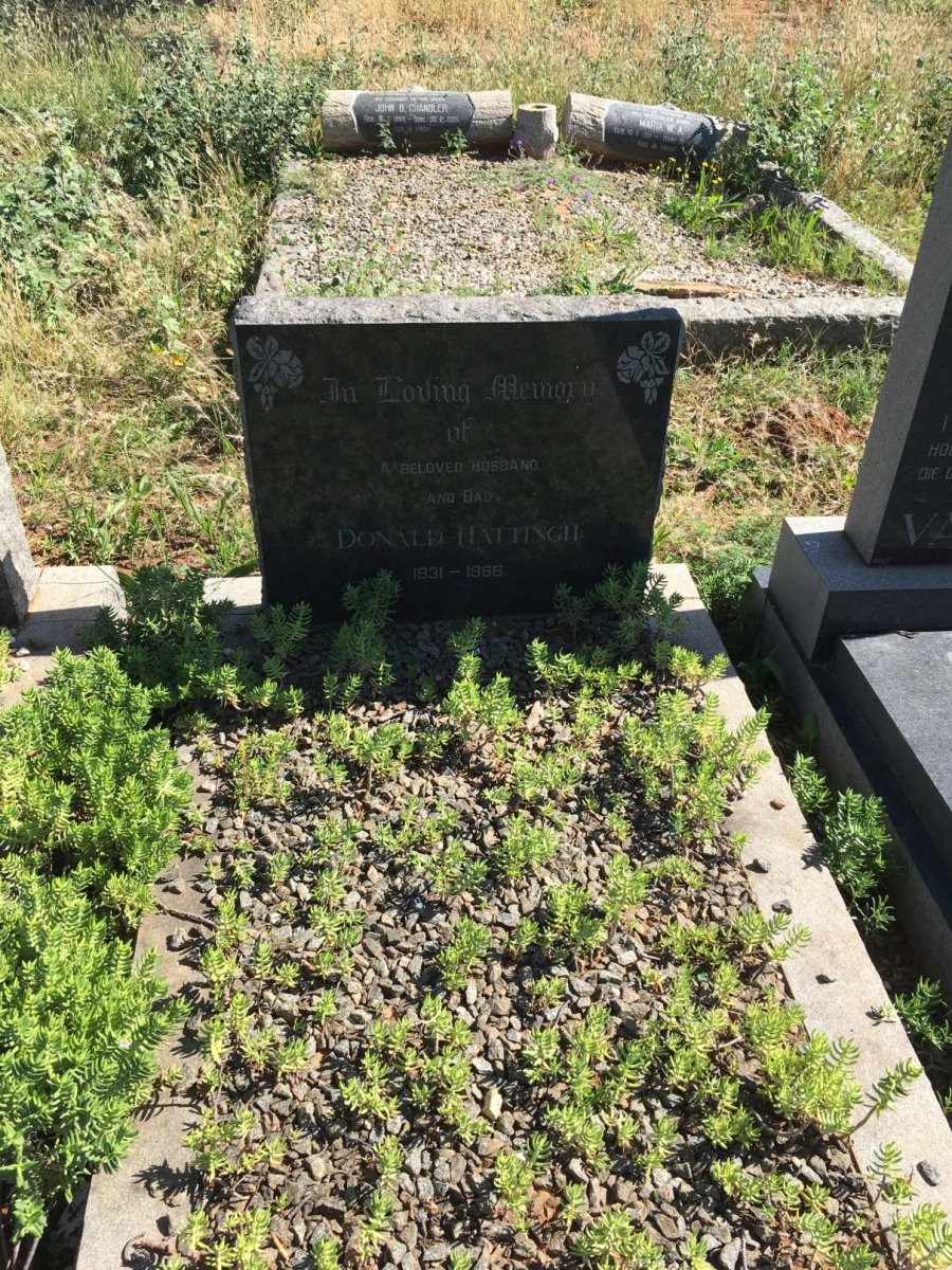 HATTINGH Donald 1931-1966