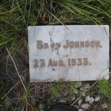 JOHNSON 1933-1933