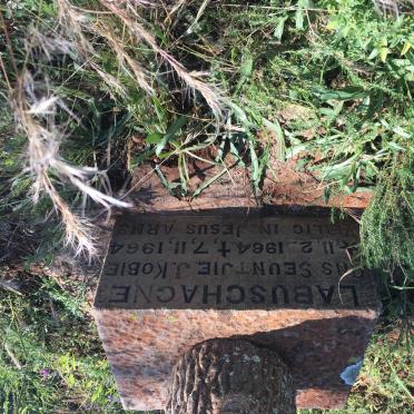 LABUSCHAGNE J. 1964-1964