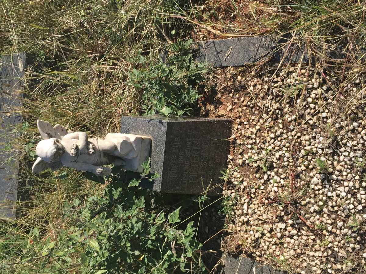 LESSINGH Pietertjie 1964-1965