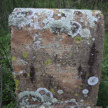 LANGE Cornelis ?, de 1885-1918