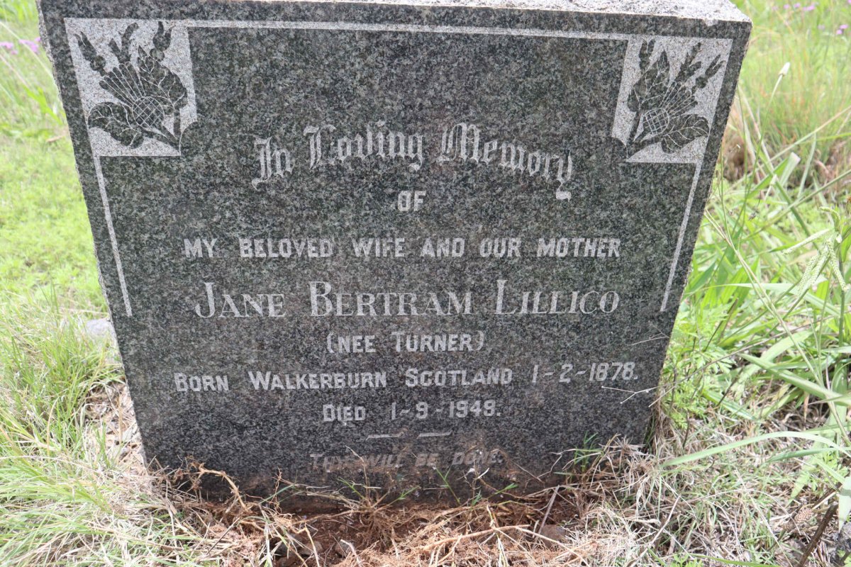 LILLICO Jane Bertram nee TURNER 1878-1949