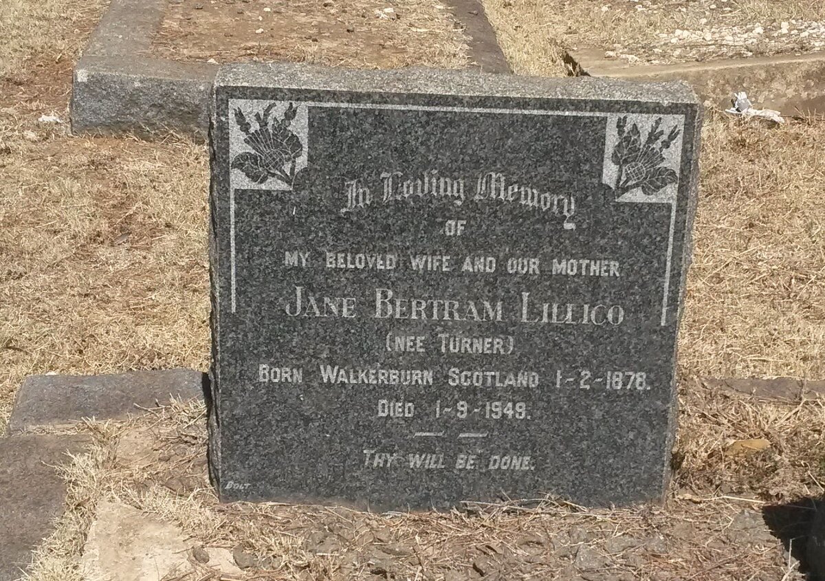 LILLICO Jane Bertram nee TURNER 1878-1949